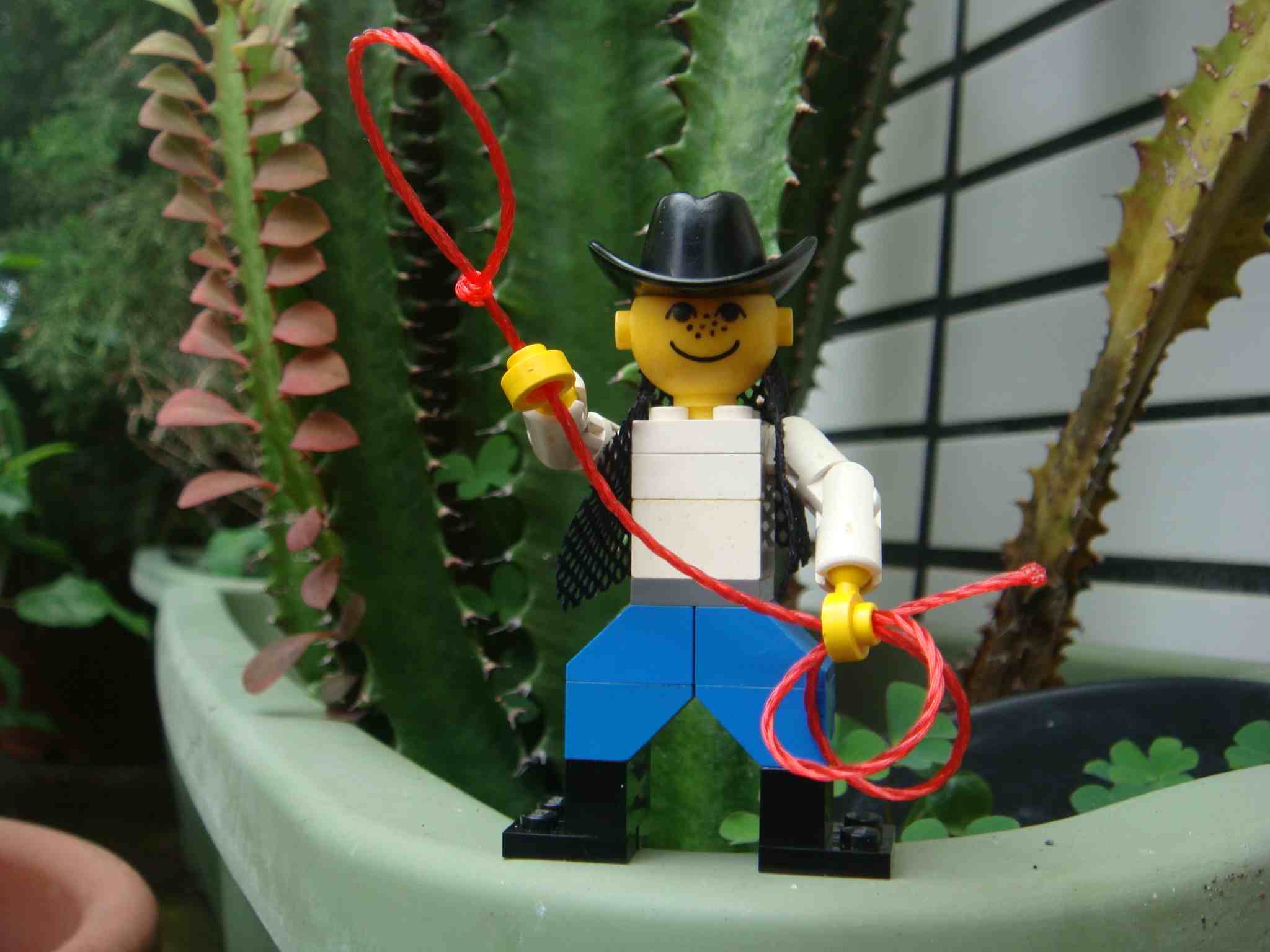 cowboy_ucc-office_201508300002.jpg