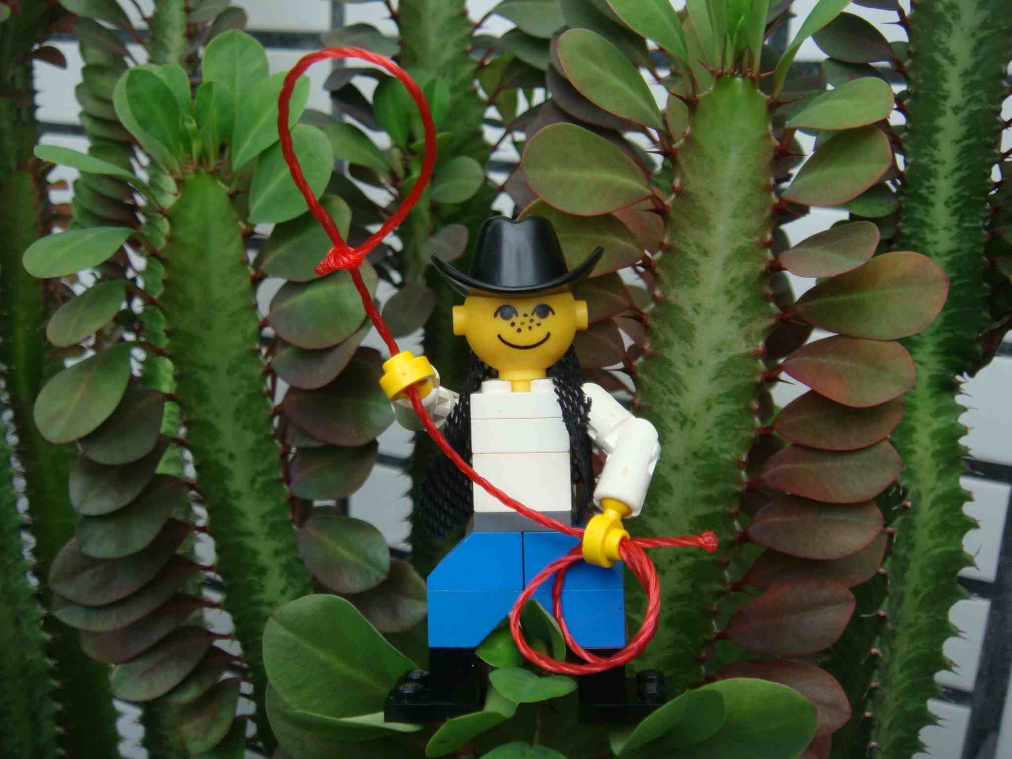 cowboy_ucc-office_201508300005.jpg