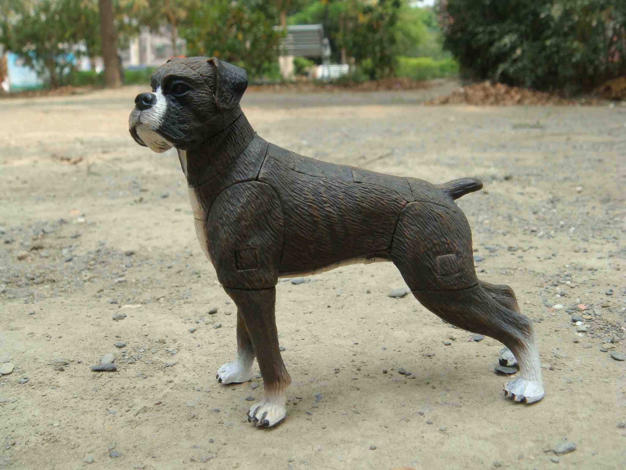 dog_201503240001.jpg