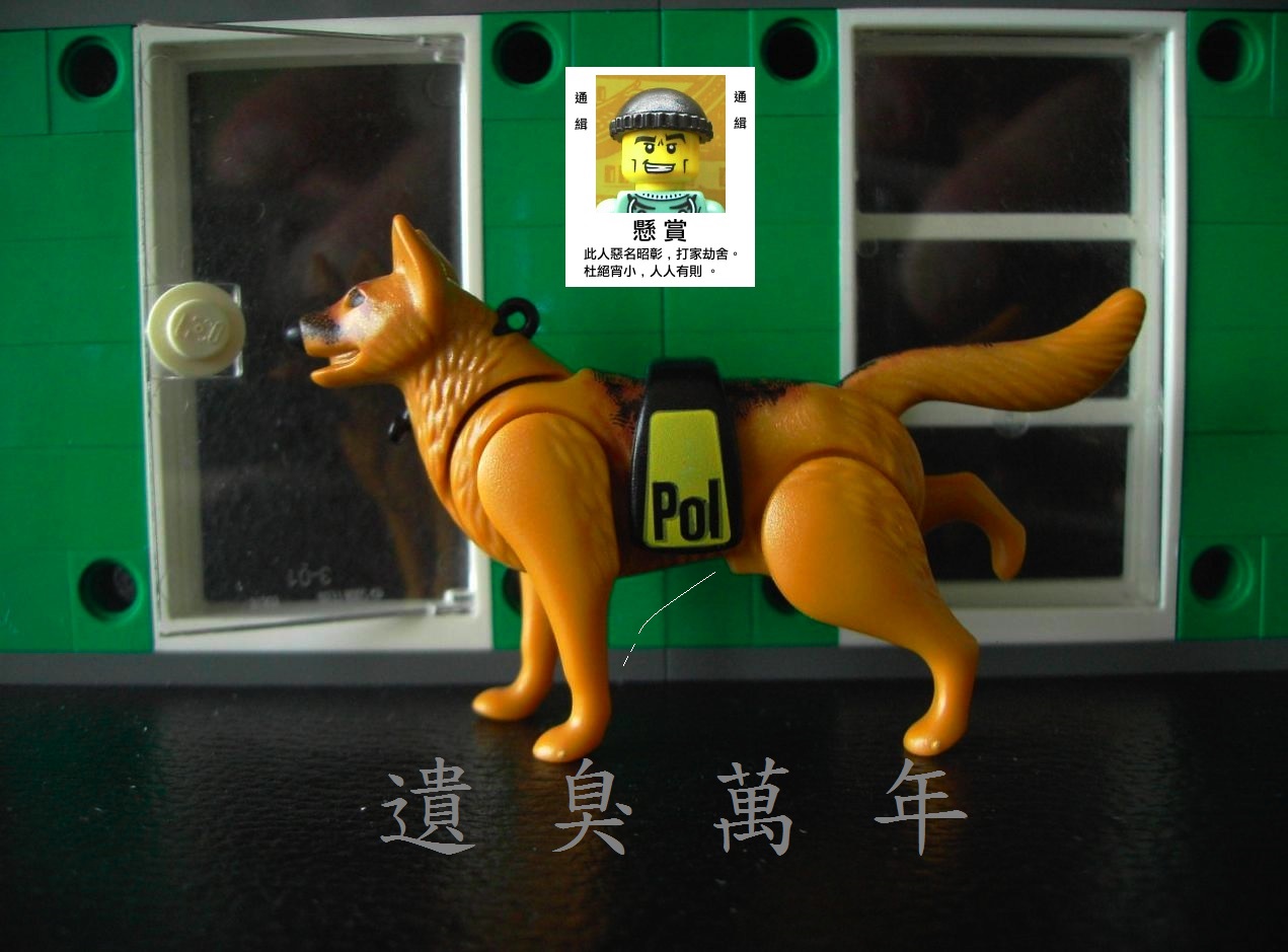 lego_2015032300022_1.jpg