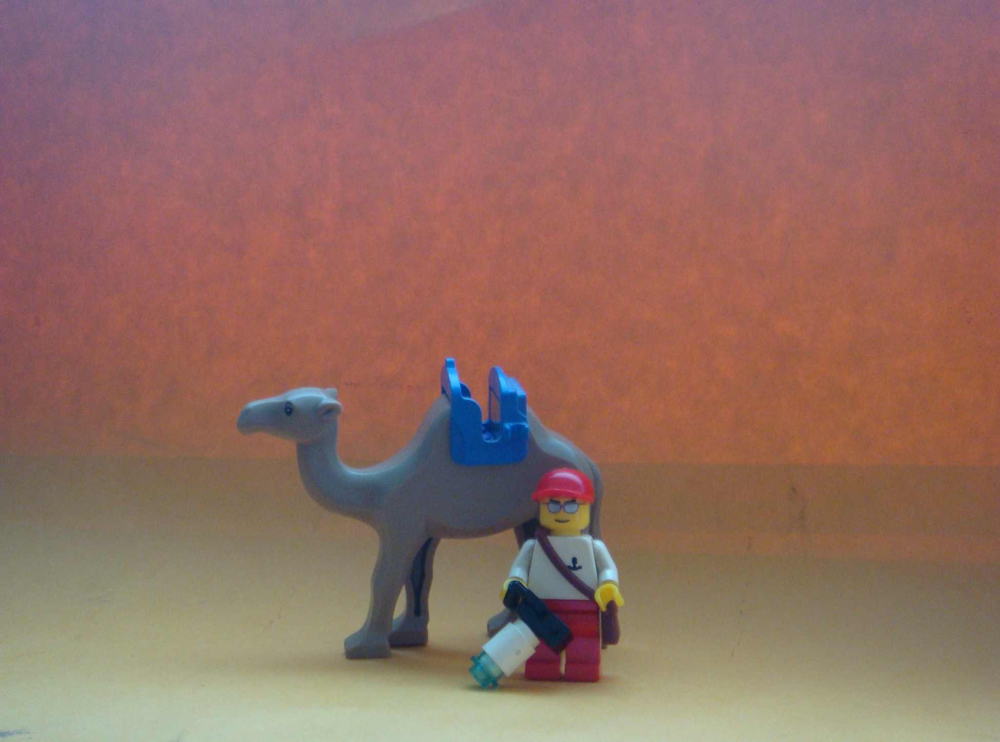 lego_camel_ucc-office_201509100001.jpg