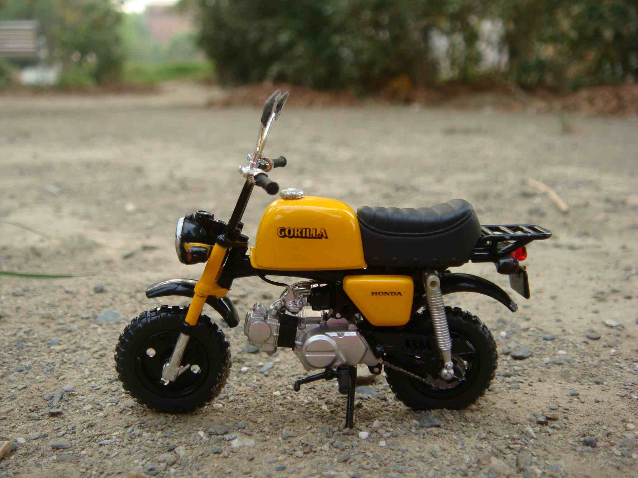 monkey_201503240001.jpg