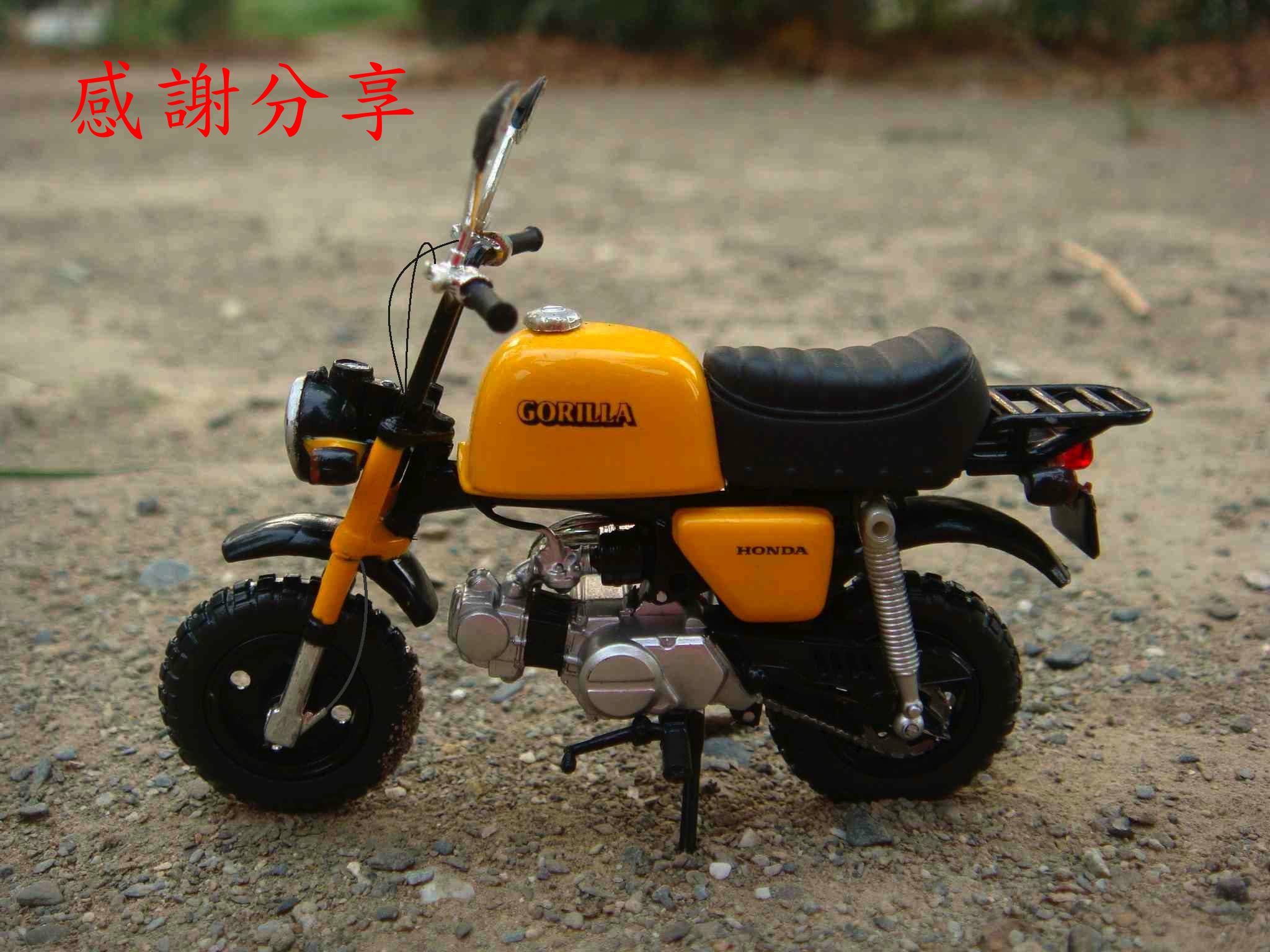 monkey_201503240002_2.jpg