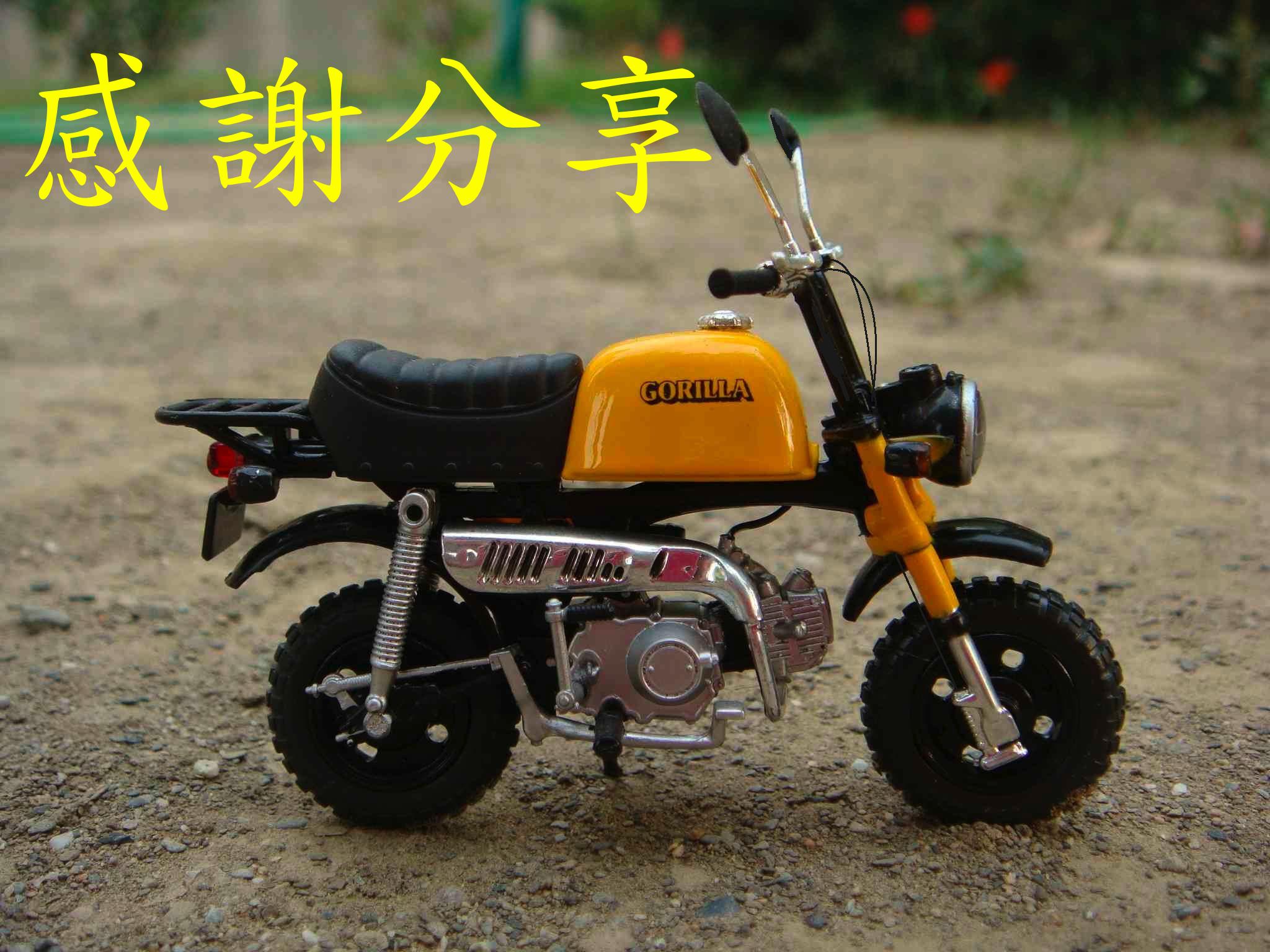 monkey_201503240003_5.jpg