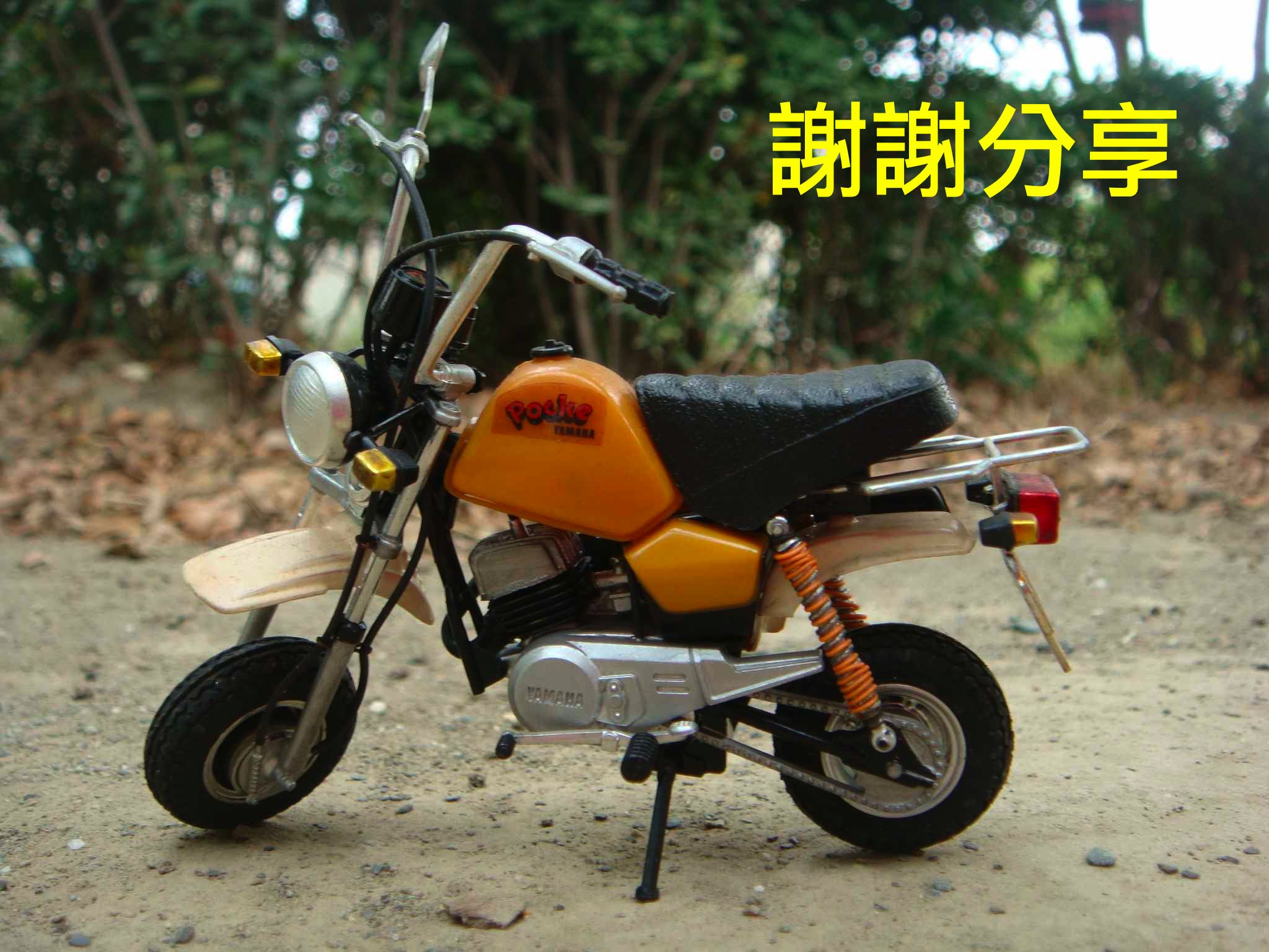 pocke_201503250001_1.jpg