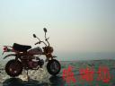 honda_monkey_ucc-office_2015010900001.jpg