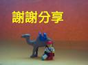 lego_camel_ucc-office_201509100001-1.jpg