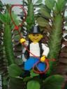 lego_cowboy_ucc-office_2015083000001.jpg
