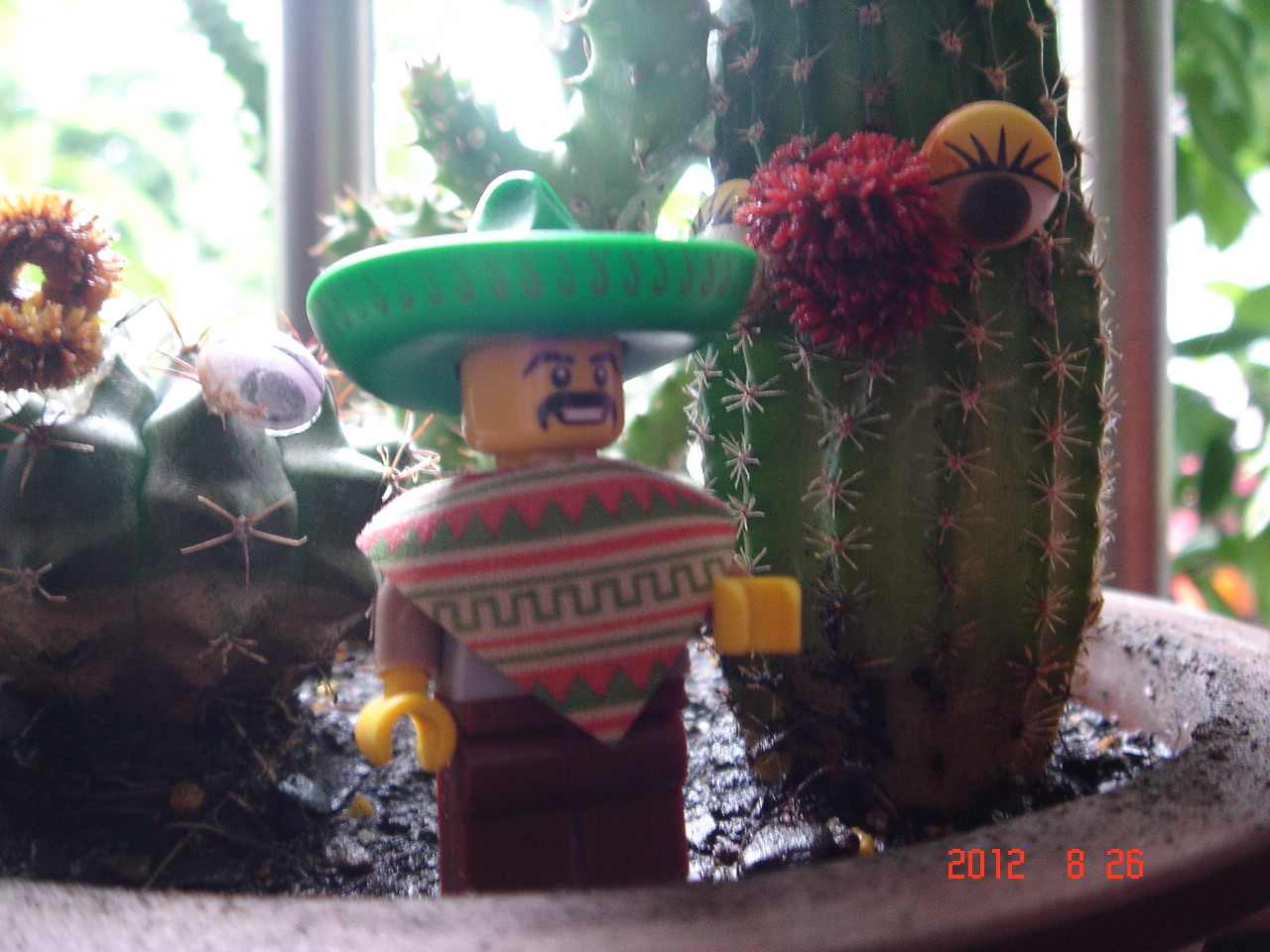 mexico_ucc-office_0826001.jpg