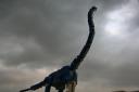 brachiosaurus003.jpg