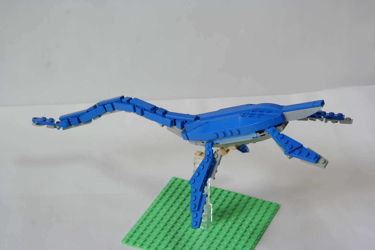 futabasaurus017.jpg