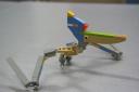 pteranodon005.jpg