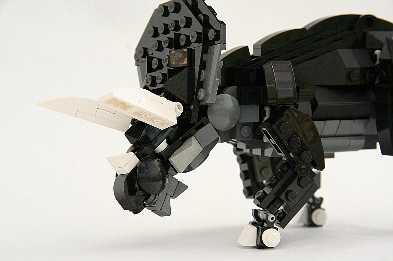 new_triceratops003.jpg