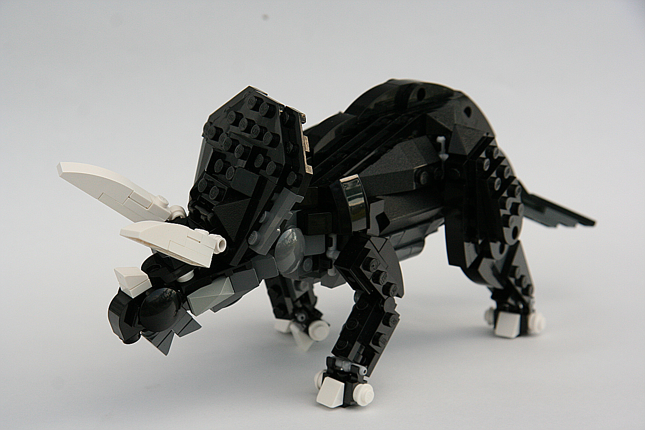 new_triceratops006.jpg