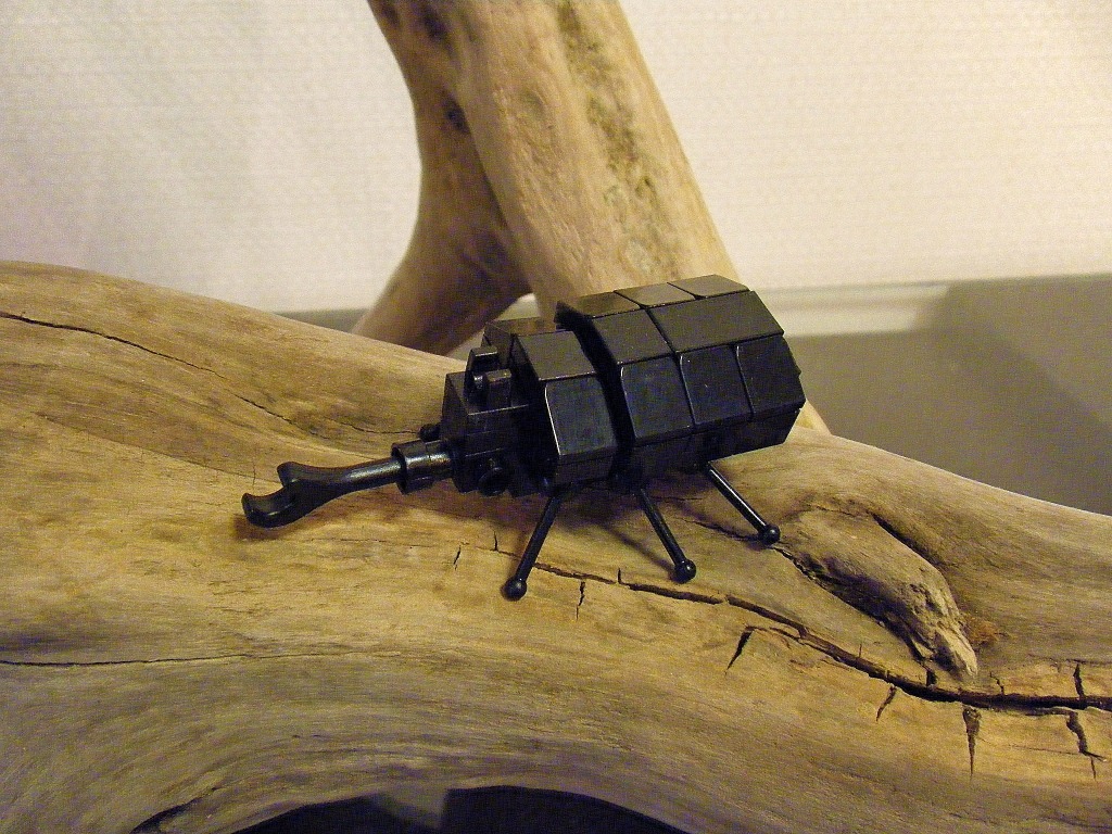 01-beetle.jpg