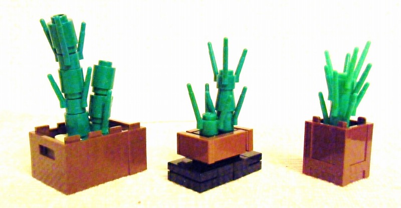 cactus05.jpg