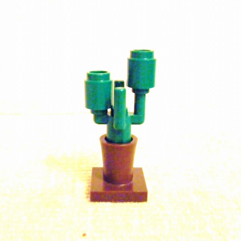 cactus07.jpg