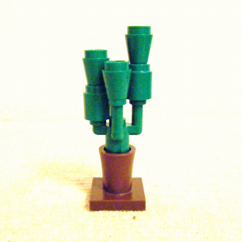 cactus08.jpg