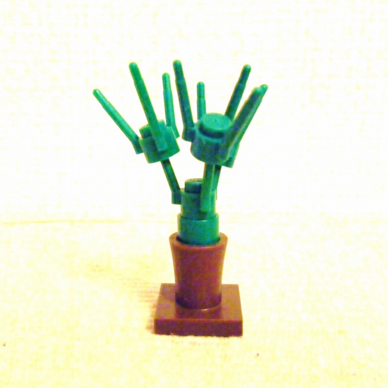 cactus09.jpg