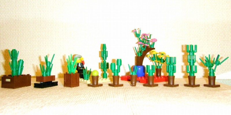 plants.jpg