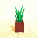 cactus04.jpg