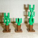 cactus13.jpg