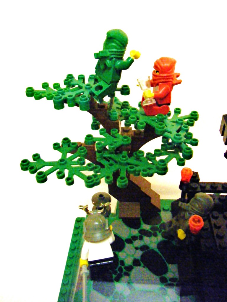 14japaneseblackpine.jpg
