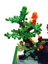 14japaneseblackpine.jpg