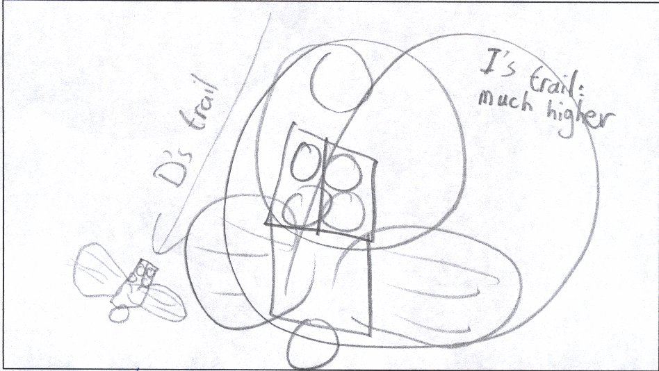 di22.jpg