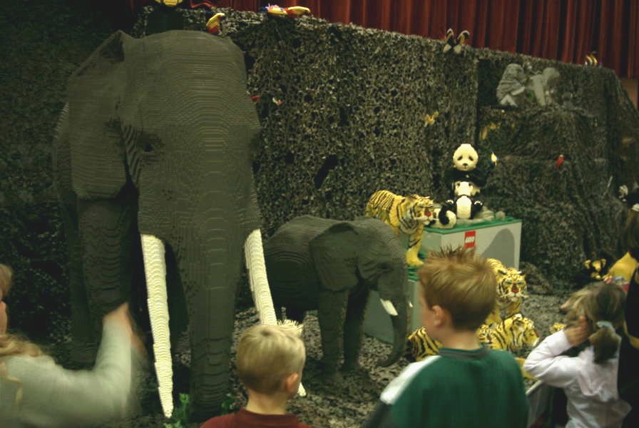 elephant.jpg