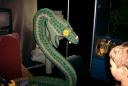 hpsnake.jpg
