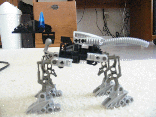 5.gif
