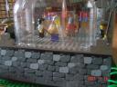 dsc01906.jpg
