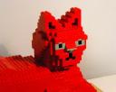 cat4.jpg