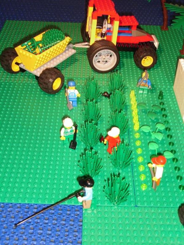 agricultura00.jpg
