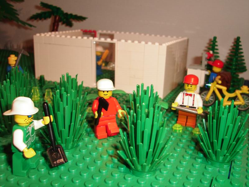 agricultura16.jpg