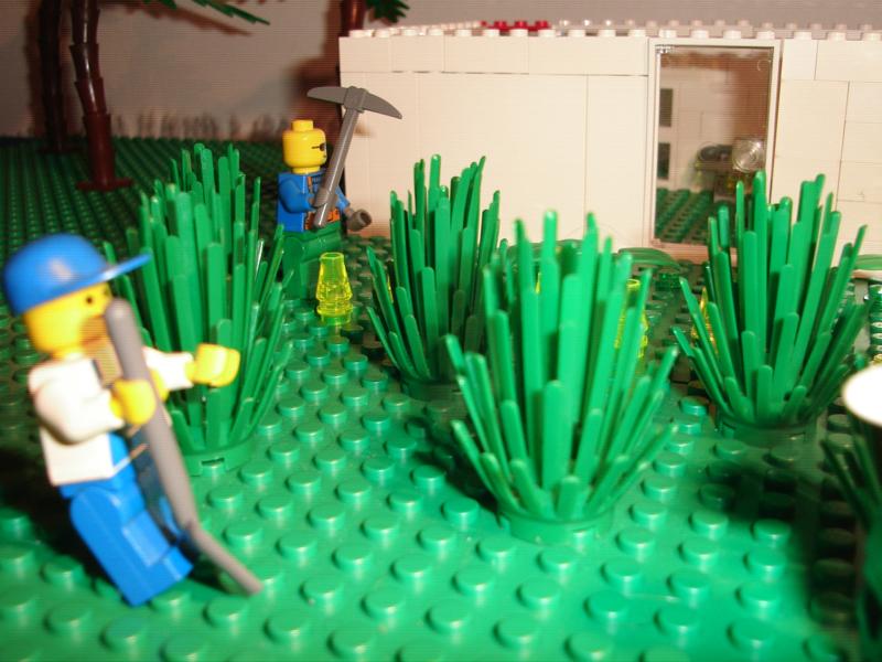 agricultura17.jpg