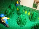 agricultura11.jpg