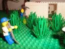 agricultura17.jpg