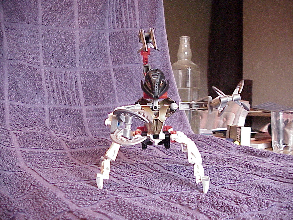 mvc-002x.jpg