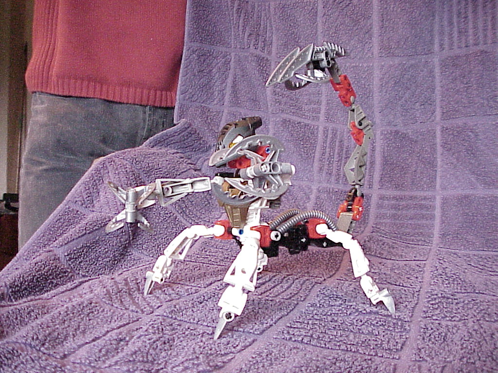 mvc-003x.jpg