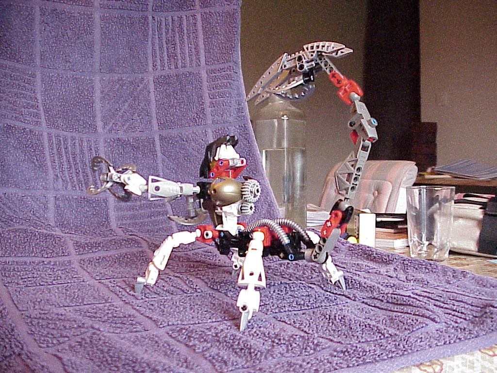 mvc-004x.jpg