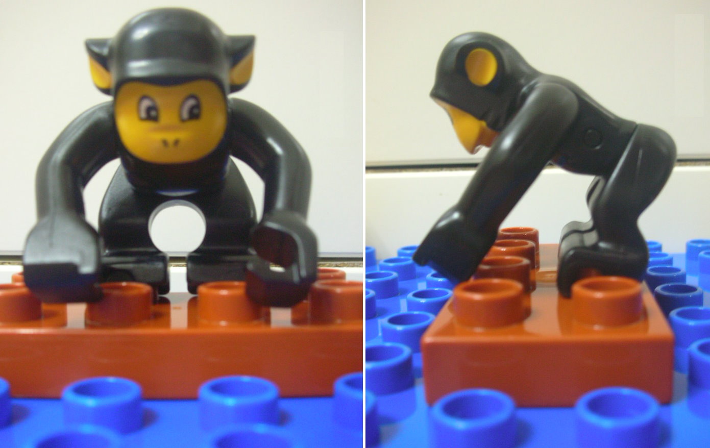 duplo_monkey.jpg
