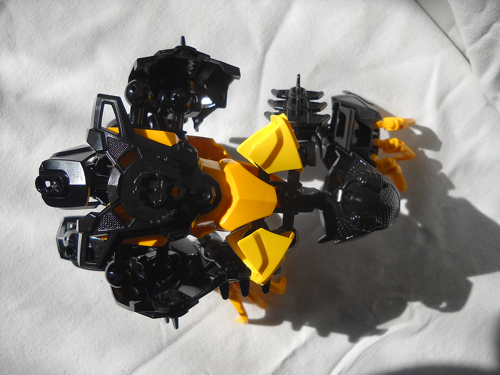 bear07.png