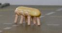 bugette