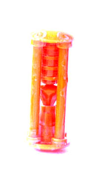 cell05.jpg