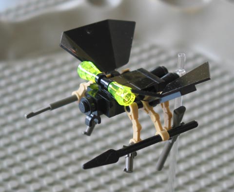 botfly1.jpg