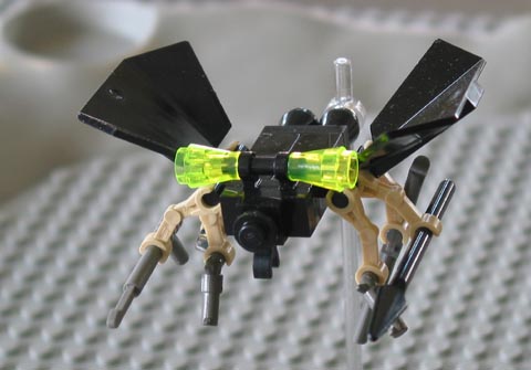 botfly2.jpg