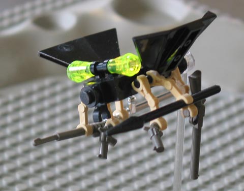 botfly4.jpg