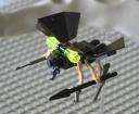 botfly1.jpg